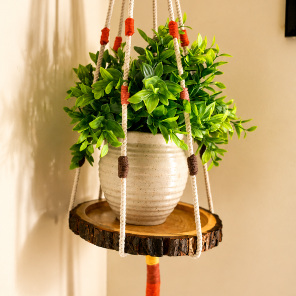 Tray planter + Wooden Tray