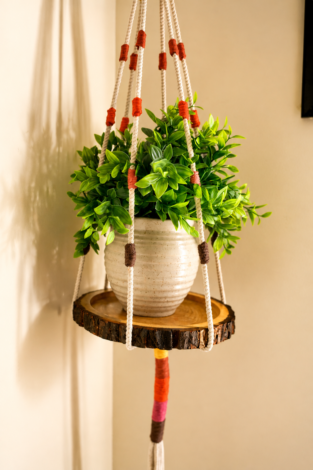 Tray planter + Wooden Tray